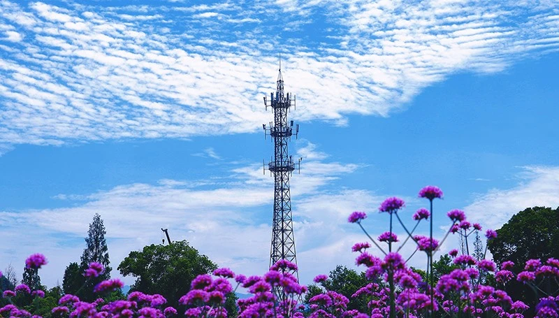 Angle Steel Communication Tower best Angle Steel Communication Tower best
