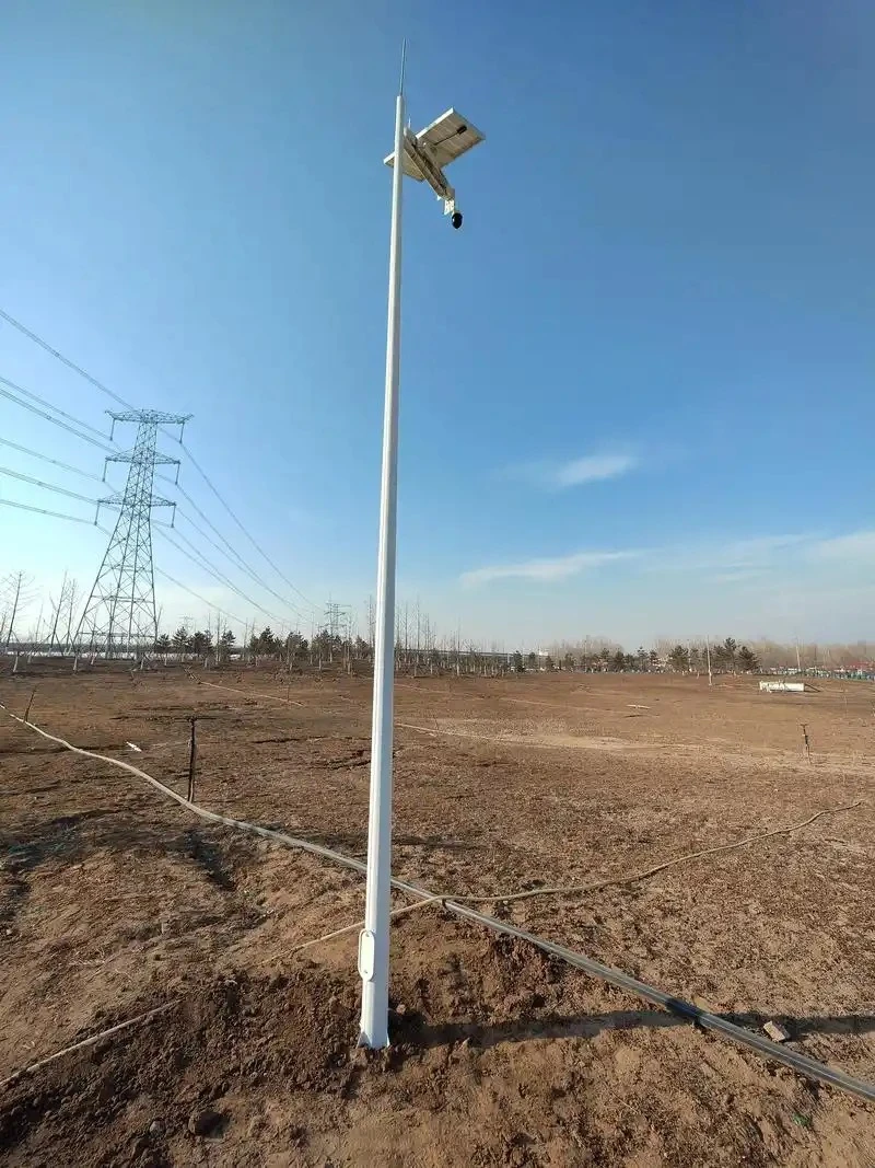 Black Surveillance Camera Pole factory Black Surveillance Camera Pole factory