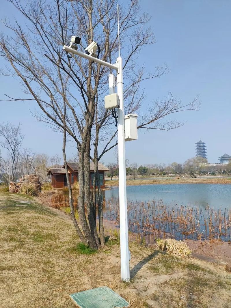 Black Surveillance Camera Pole price Black Surveillance Camera Pole price