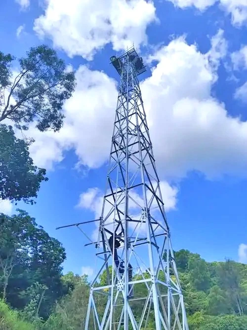 Self Supporting Surveillance Tower best Self Supporting Surveillance Tower best
