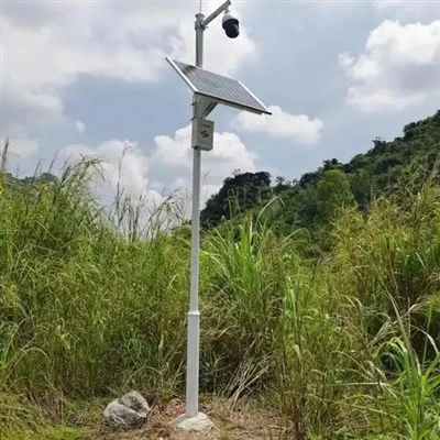 Black Surveillance Camera Pole