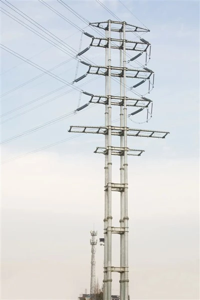 Multi Pole Steel Structure