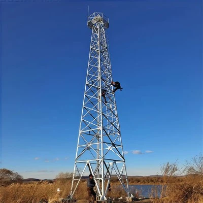 Self Supporting Surveillance Tower