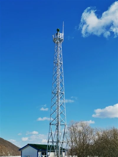 Video Surveillance Tower